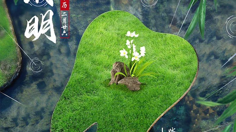 种植牙集采后，价格如何变化？揭秘集采背后的秘密**